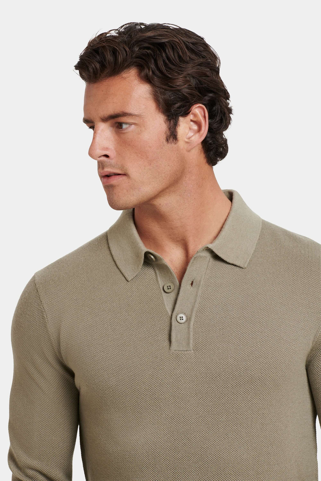 THE ARI POLO