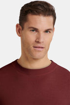 THE SANTONI CREWNECK SWEATER